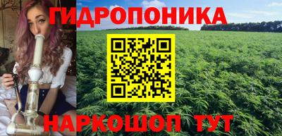 МДПВ Будённовск