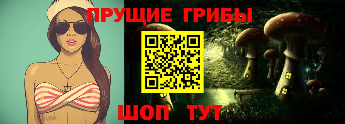 Псилоцибиновые грибы GOLDEN TEACHER  Вход с VPN  Торжок 